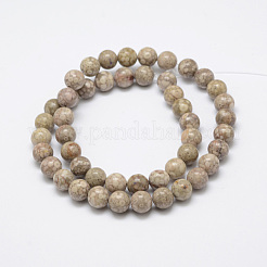 Natural Fossil Coral Beads Strands&nbsp;G-G735-52-8mm