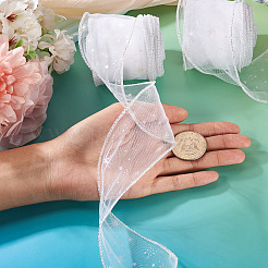 Polyester Deco Mesh Ribbons&nbsp;OCOR-TAC0024-004E