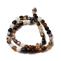 Natural Black Agate Bead Strands&nbsp;G-P070-34