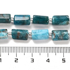 Natural Apatite Beads Strands&nbsp;LS-G-G068-A11-01