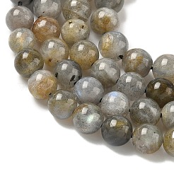 Natural Labradorite Beads Strands&nbsp;G-U017-6mm-01-A