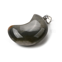 Natural Picasso Jasper/Polychrome Jasper Pendants&nbsp;G-F820-02H