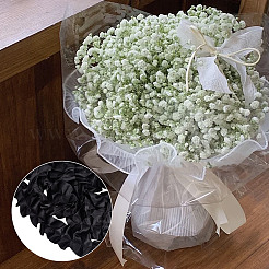 5M Polyester Pleated Lace Ribbon&nbsp;OCOR-WH0085-66A