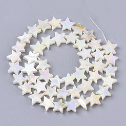 Freshwater Shell Beads Strands&nbsp;SHEL-N026-07A