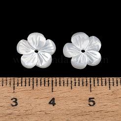 ナチュラルホワイトシェルビーズ  花  ホワイト  10x10x2mm  穴：0.8mm&nbsp;SH-CBA93AD-07B