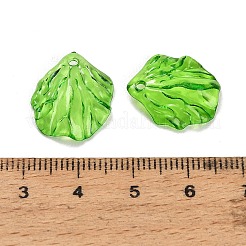 Transparent Acrylic Pendants&nbsp;AC-CBA5040-01F