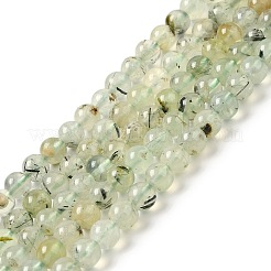 Natural Prehnite Beads Strands&nbsp;G-S333-6mm-032