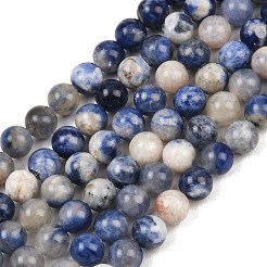 Natural Sodalite Beads Strands&nbsp;G-S279-10-8mm
