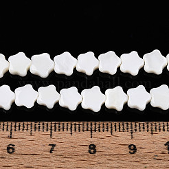 天然淡水シェルビーズ連売り  花  貝殻色  6x6x2mm  穴：0.7mm  約68個/連  15.16インチ〜15.55インチ（38.5~39.5cm）&nbsp;SHEL-N027-02-01