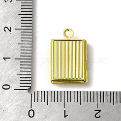 ラックメッキ真鍮ロケットペンダント  18KGP本金メッキ  長持ちメッキ  カドミウムフリー＆鉛フリー  クロス  本  17x11x3mm  穴：1.6mm  内径：9.5x6mm&nbsp;KK-C053-03G