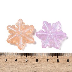 明るい透明なアクリルビーズ  グリッターパウダー付き  暗闇で光る  スノーフレーク  ミックスカラー  30.5x8mm  穴：1.6mm&nbsp;LACR-U001-06