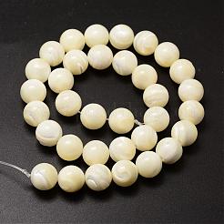 Natural Sea Shell Beads Strands&nbsp;SSHEL-K013-12mm-A