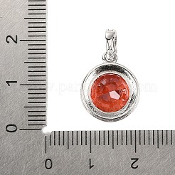 スターリングシルバーのパヴェキュービックジルコニアペンダント925個  プラチナメッキ  ラウンド  16x13.5x7mm  穴：4.5x3.5mm&nbsp;STER-C015-01C-01