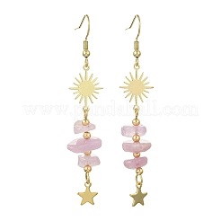 304 Stainless Steel Dangle Earrings&nbsp;EJEW-JE07301-01