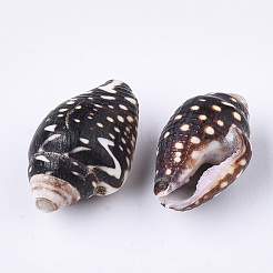 Spiral Shell Beads&nbsp;SSHEL-T008-23