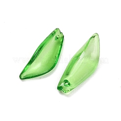 Transparent Acrylic Pendants&nbsp;AC-CBA5040-01J