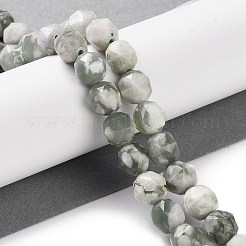 天然のピースジェイドビーズ連売り  多面カット  ダブルハート＆スターカットビーズ  7~8.5x7.5~8mm  穴：0.8~1mm  約48~50個/連  15.16~15.55インチ（38.5~39.5cm）&nbsp;G-NH0021-A08-01
