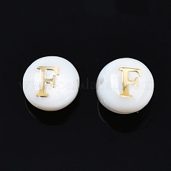 Natural Freshwater Shell Beads&nbsp;SHEL-S278-036F