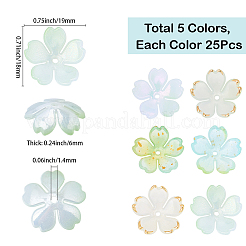 125 個 5 色のアクリルビーズキャップ  花  黄金の縁を持つ  ミックスカラー  17.5~19x18.5~19x5.5~6mm  穴：1.4~1.6mm  25個/カラー&nbsp;OACR-BM0001-10