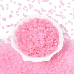 FGB Frosted Transparent Glass Seed Beads&nbsp;SEED-N013-05A-05