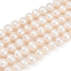 Natural Cultured Freshwater Pearl Beads Strands&nbsp;PEAR-I007-07X-06A