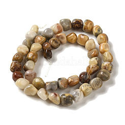 Natural Crazy Lace Agate Beads Strands&nbsp;G-B078-D23-01