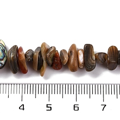 天然パウアシェルビーズ連売り  ナゲット  カラフル  9~14x4~7.5x1.5~5.5mm  穴：0.5mm  約139個/連  15.24''（38.7センチメートル）&nbsp;BSHE-B007-05