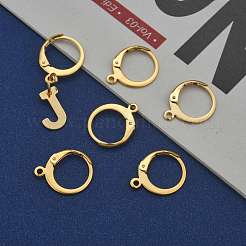 304 Stainless Steel Leverback Earring Findings&nbsp;STAS-P210-30G
