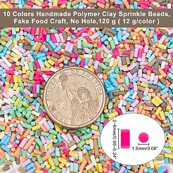 120g 10 Colors Handmade Polymer Clay Sprinkle Beads&nbsp;CLAY-AR0001-09