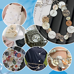 230Pcs 23 Styles 2-Hole Shell Flat Round Buttons&nbsp;BUTT-PH0001-37