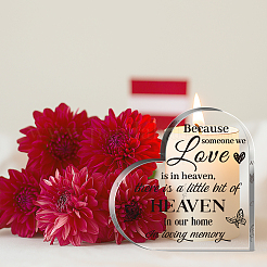 Acrylic Decoration&nbsp;DJEW-WH0591-001