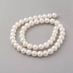天然養殖淡水パールビーズ連売り  ポテト  貝殻色  8~9x7~8mm  穴：0.5mm  約51個/連  14.17インチ（36cm）&nbsp;PEAR-G007-27-01