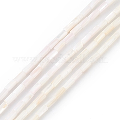 天然淡水貝殻染めビーズ連売り  コラム  貝殻色  8x4mm  穴：0.8mm  約46個/連  14.96''（38センチメートル）&nbsp;SHEL-M018-11-12