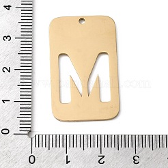 304 Stainless Steel Pendants&nbsp;STAS-D200-01M-G