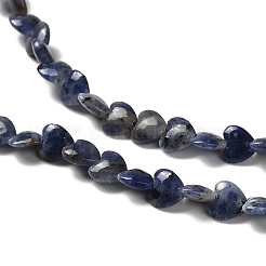 Natural Sodalite Beads Strands&nbsp;G-P575-C15-6mm