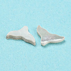 Natural Sea Shell Cabochons&nbsp;SHEL-D079-13