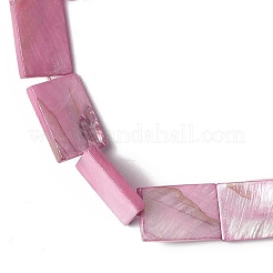 Natural Freshwater Shell Beads Strands&nbsp;SHEL-C003-04