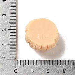 Opaque Resin Imitation Food Decoden Cabochons&nbsp;LS-CRES-A058-02A