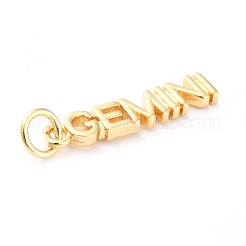 真鍮チャーム  丸カン付き  長持ちメッキ  星座/星座  ゴールドカラー  双子座  ジェミニ：4x19x1.5mm  穴：3mm&nbsp;KK-J276-14G
