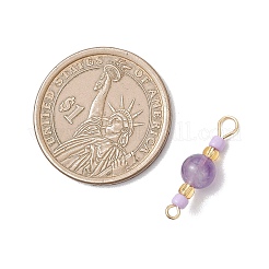 8Pcs 8 Styles Round Synthetic Turquoise & Natural Amethyst & Howlite & Carnelian & Dyed Yellow Jade & Dyed Malaysia Jade and Glass Seed Beaded Links Connector Charms&nbsp;PALLOY-MZ01168