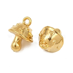 304 304 Stainless Steel Charms&nbsp;STAS-B167-22A-G