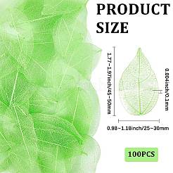 ドライフラワーの葉のクラフト用品100個  薄緑  45~50x25~30x0.1mm&nbsp;AJEW-CP0009-41A