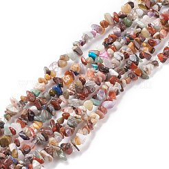 Natural Gemstone Beads Strands&nbsp;G-F328-26