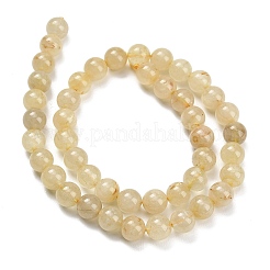 Natural Gold Rutilated Quartz Beads Strands&nbsp;G-H337-A04-04
