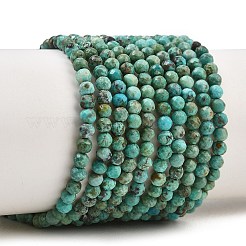 Natural HuBei Turquoise Beads Strands&nbsp;GG-CBA767B-A02-3MM
