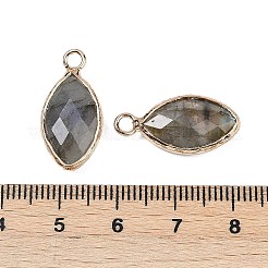 天然ラブラドライト ファセットペンダント  真鍮の馬の目のチャーム  ゴールドカラー  22.5x10.5x5~5.5mm  穴：2mm&nbsp;G-G193-01G-10