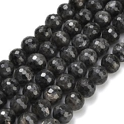 天然ラルビカイトビーズ連売り  多面カット  ラウンド  10mm  穴：1mm  約38~39個/連  15.16''（38.5センチメートル）&nbsp;G-C280-B06-10mm