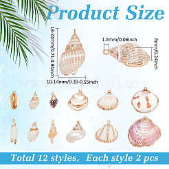 24Pcs 12 Styles Electroplated Natural Shell Pendants&nbsp;SSHEL-ME0001-06