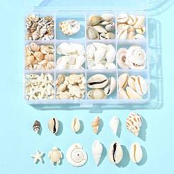 DIY Conch Shell Starfish Turtles Beads Findings Kits&nbsp;DIY-FS0010-25