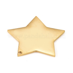 304 Stainless Steel Pendants&nbsp;STAS-L238-108B-G